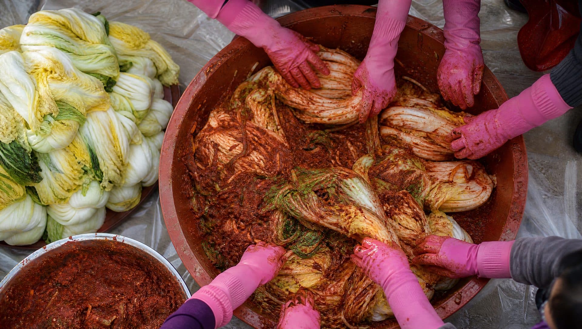 Overhead view of several pairs of gloved hands rubbing red seasoning into salted napa cabbage in a large basin during kimjang