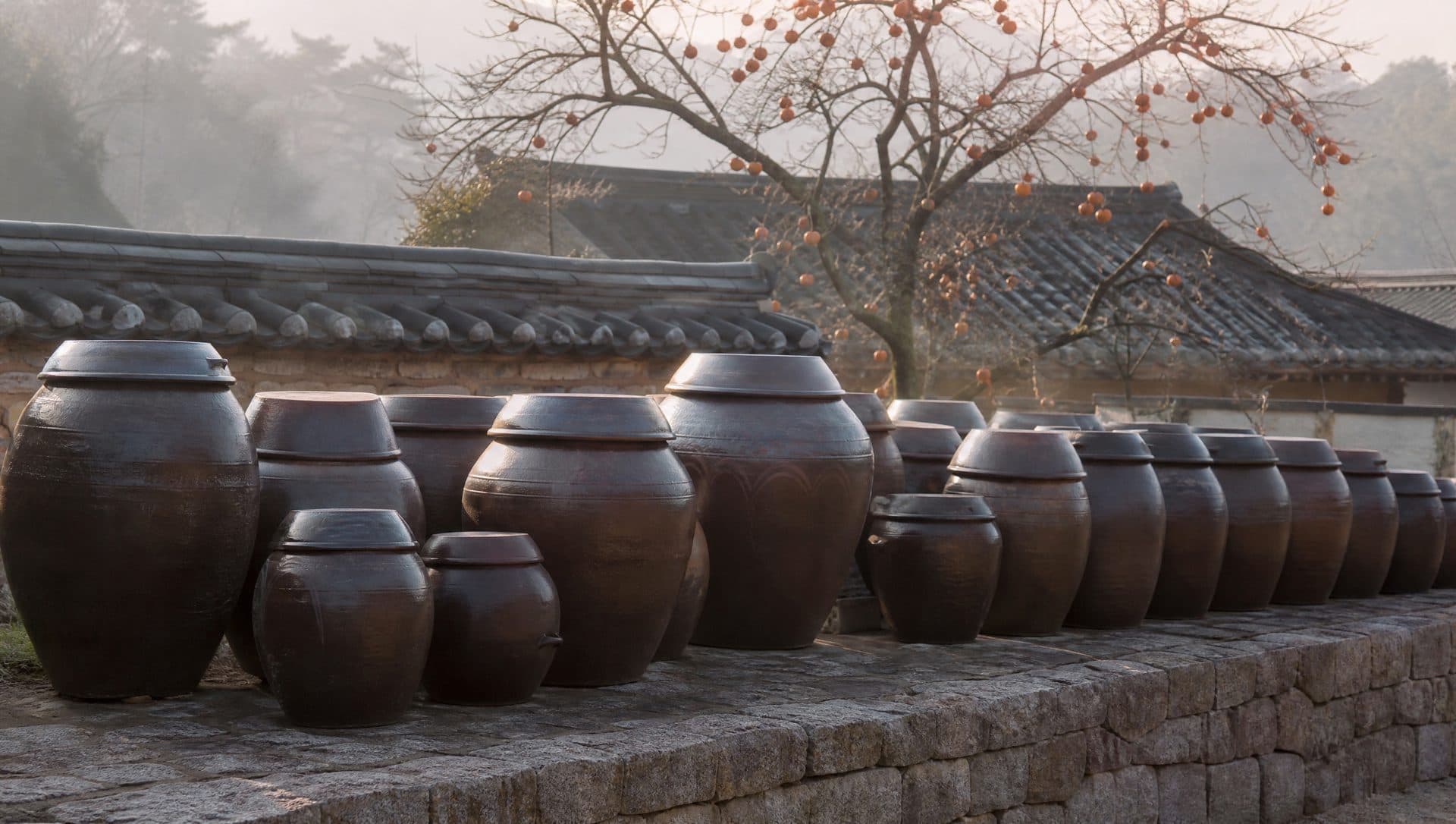 A row of dark Korean earthenware onggi jars on a stone platform in a traditional courtyard in morning mist